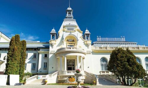 Preț adulți între 15-50 lei