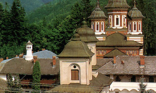 Intrarea este liberă