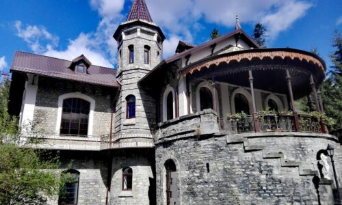 Preț bilet adult 30 lei