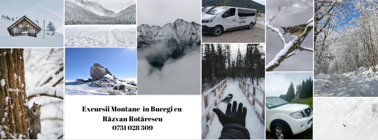 Coperta iarna 2024 excursii facebook Coperta iarna 2024 excursii facebook
